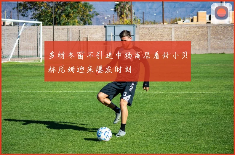 多特冬窗不引进中场高层看好小贝林厄姆迎来爆发时刻