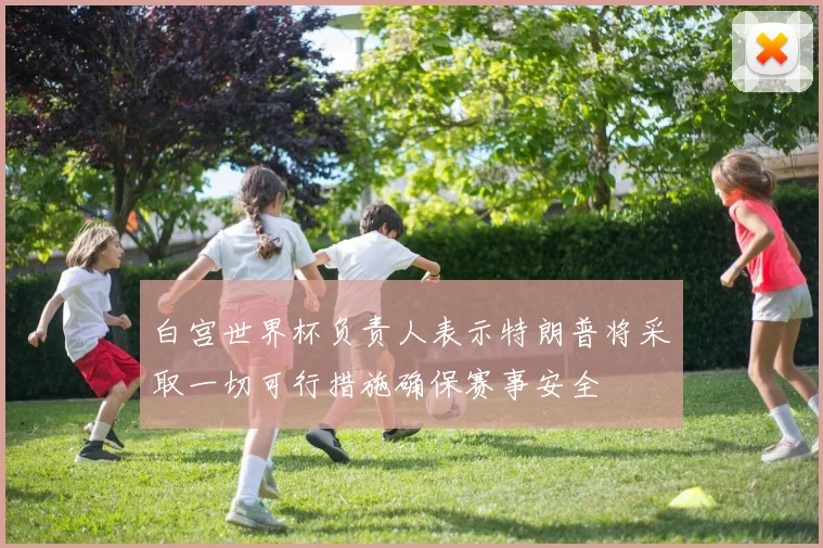 白宫世界杯负责人表示特朗普将采取一切可行措施确保赛事安全