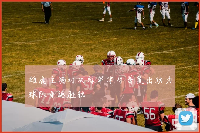 雄鹿主场对决绿军字母哥复出助力球队重返胜轨