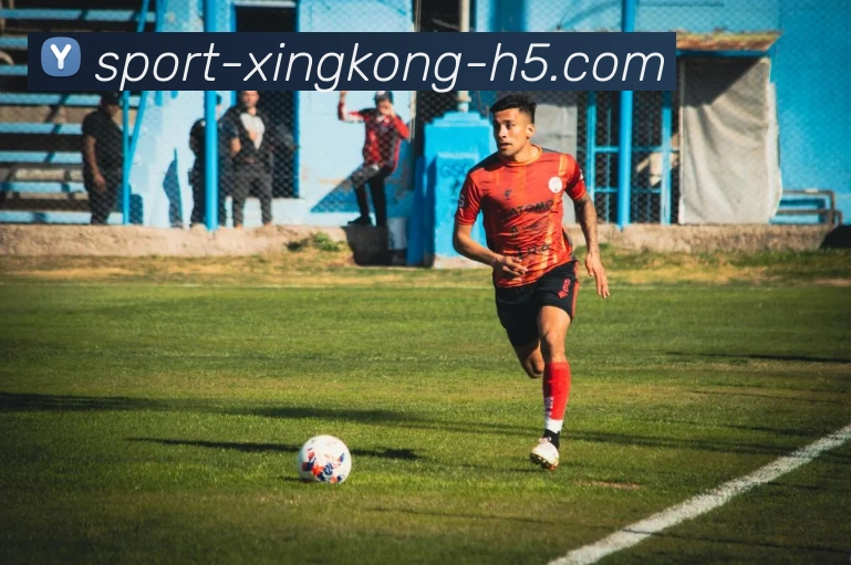 星空体育平台生态图